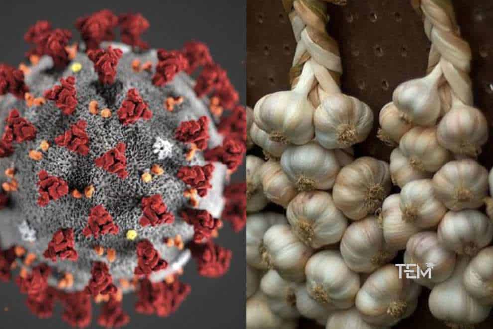 Coronavirus in humans