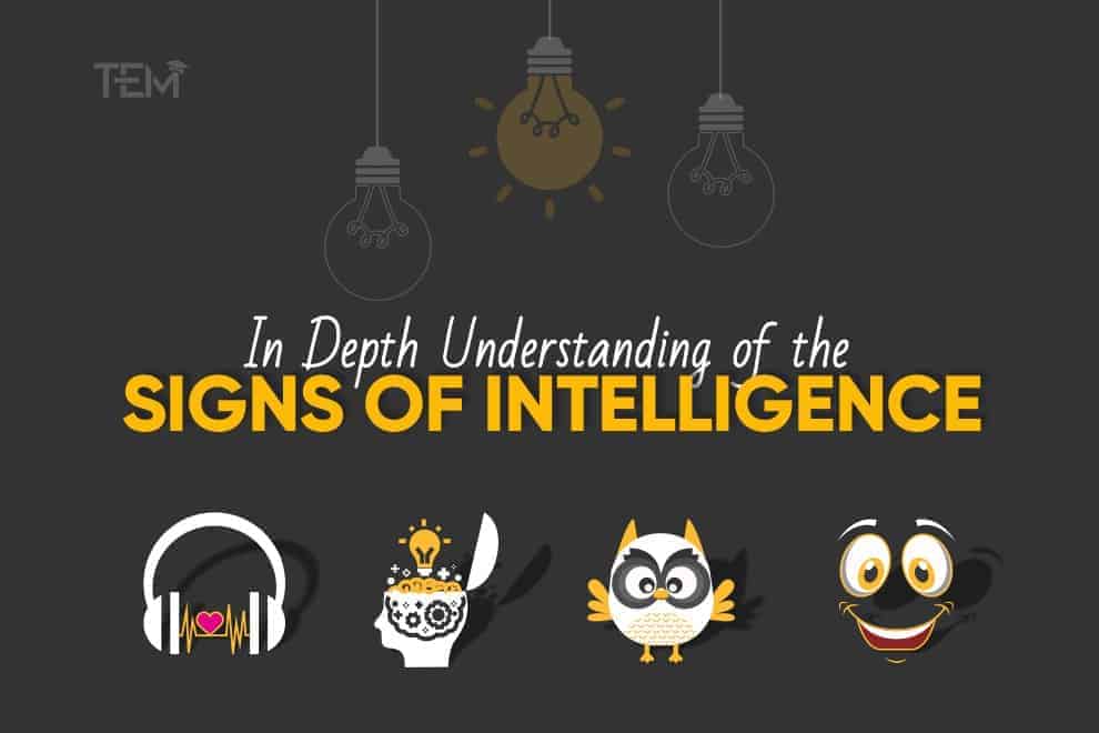 signs of intelligence