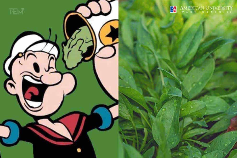 Spinach